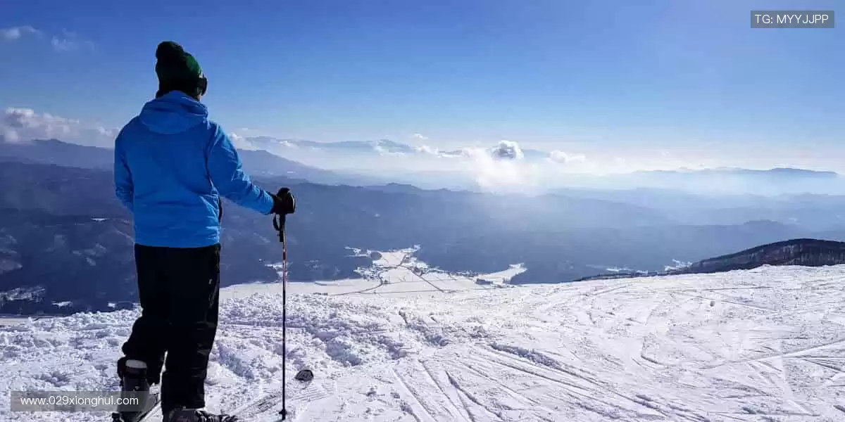 随时随地，赛事直播不缺席！📱